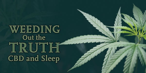 CBD and sleep