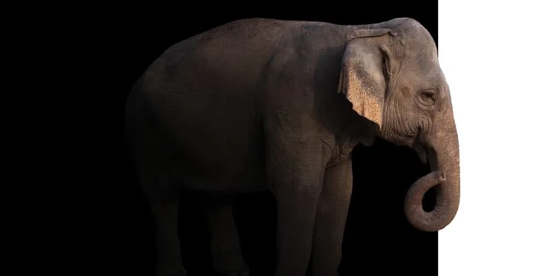 Home sleep apnea testing